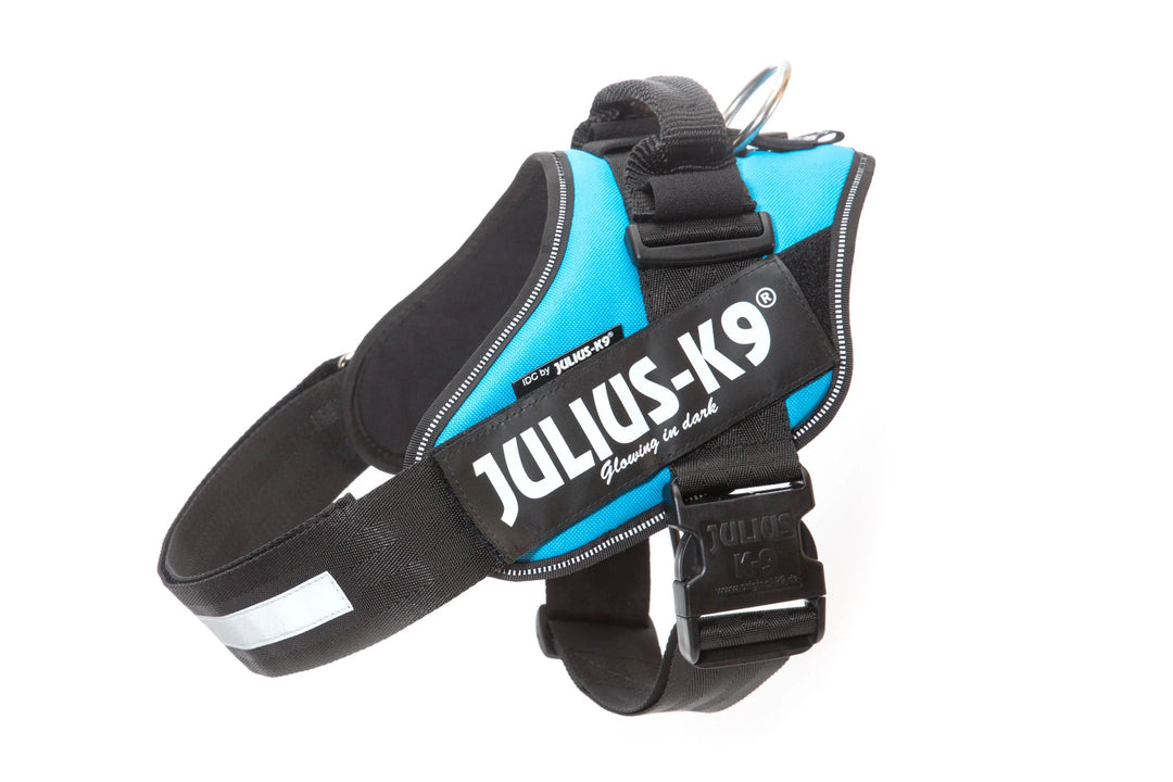Julius K9 harnais pour chiens IDC Powerharness