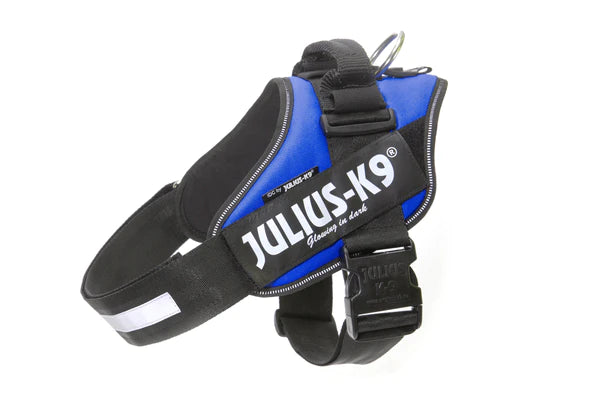 Julius K9 harnais pour chiens IDC Powerharness