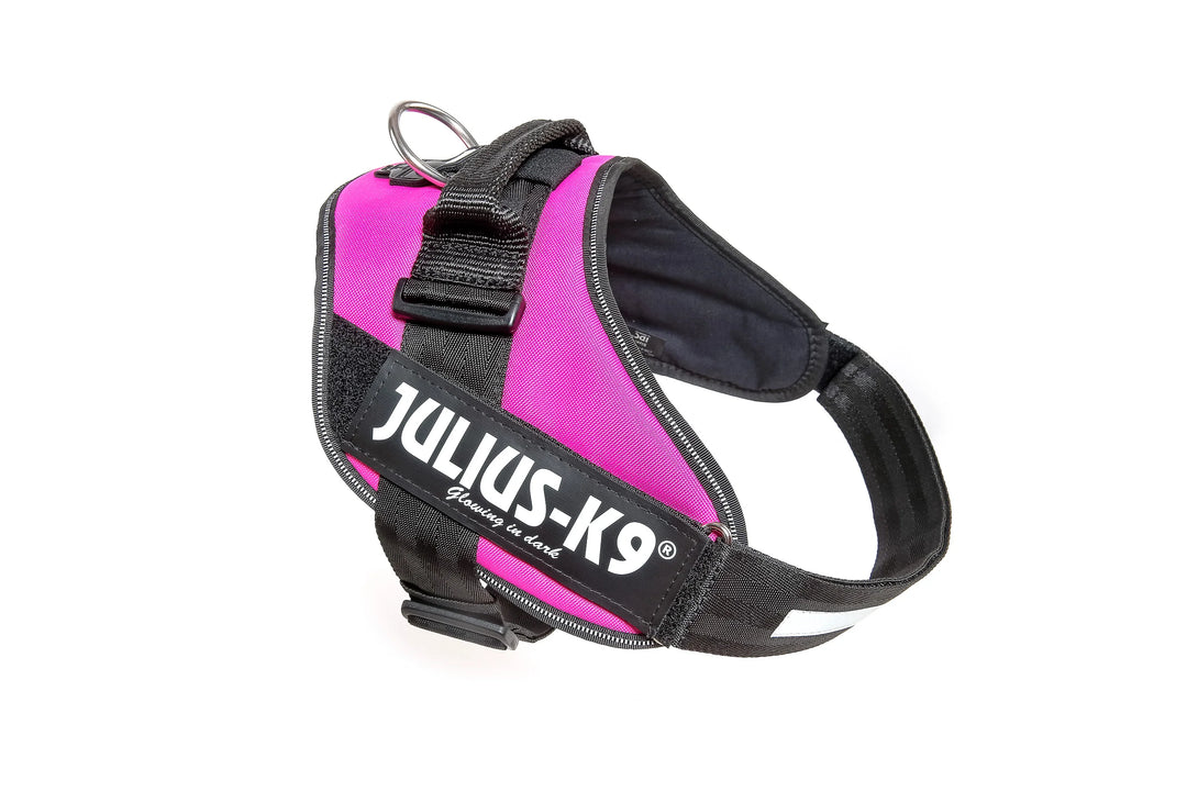Julius K9 harnais pour chiens IDC Powerharness