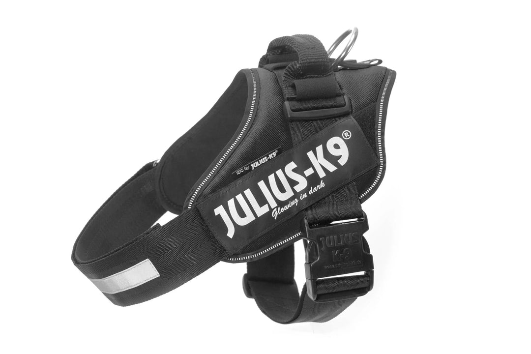 Julius K9 harnais pour chiens IDC Powerharness
