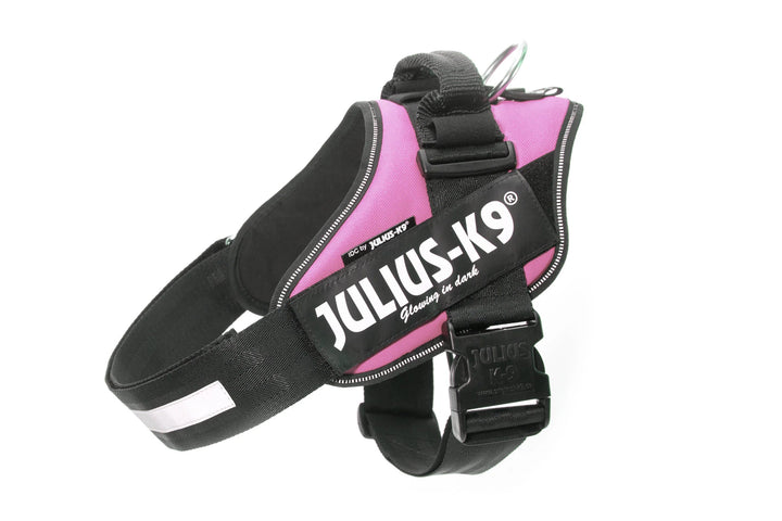 Julius K9 harnais pour chiens IDC Powerharness