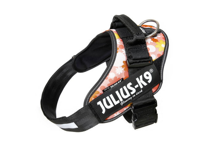 Julius K9 harnais pour chiens IDC Powerharness
