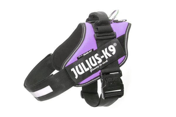 Julius K9 harnais pour chiens IDC Powerharness