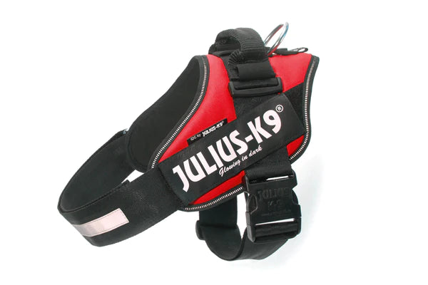 Julius K9 harnais pour chiens IDC Powerharness