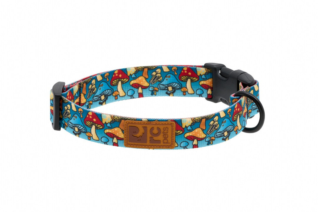 RC Pets collier à clip pour chiens ECO