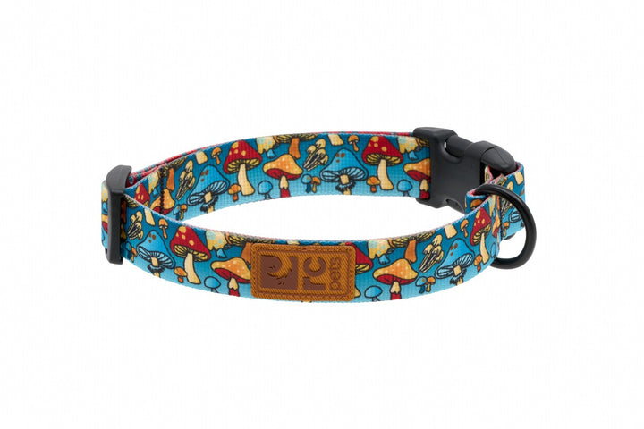 RC Pets collier à clip pour chiens ECO