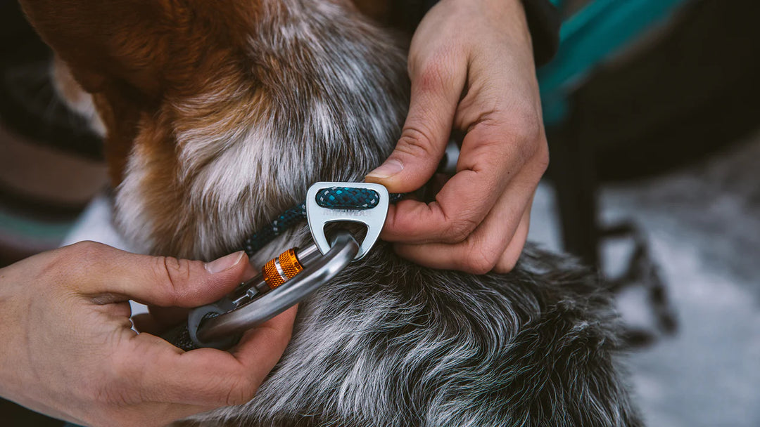 Ruffwear collier Knot-a-Collar