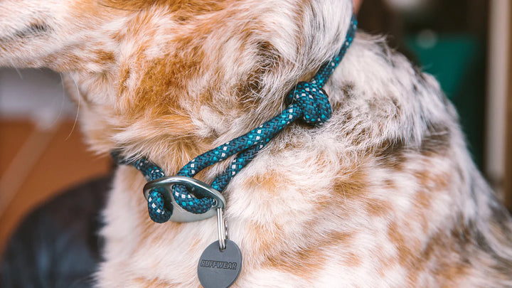Ruffwear collier Knot-a-Collar