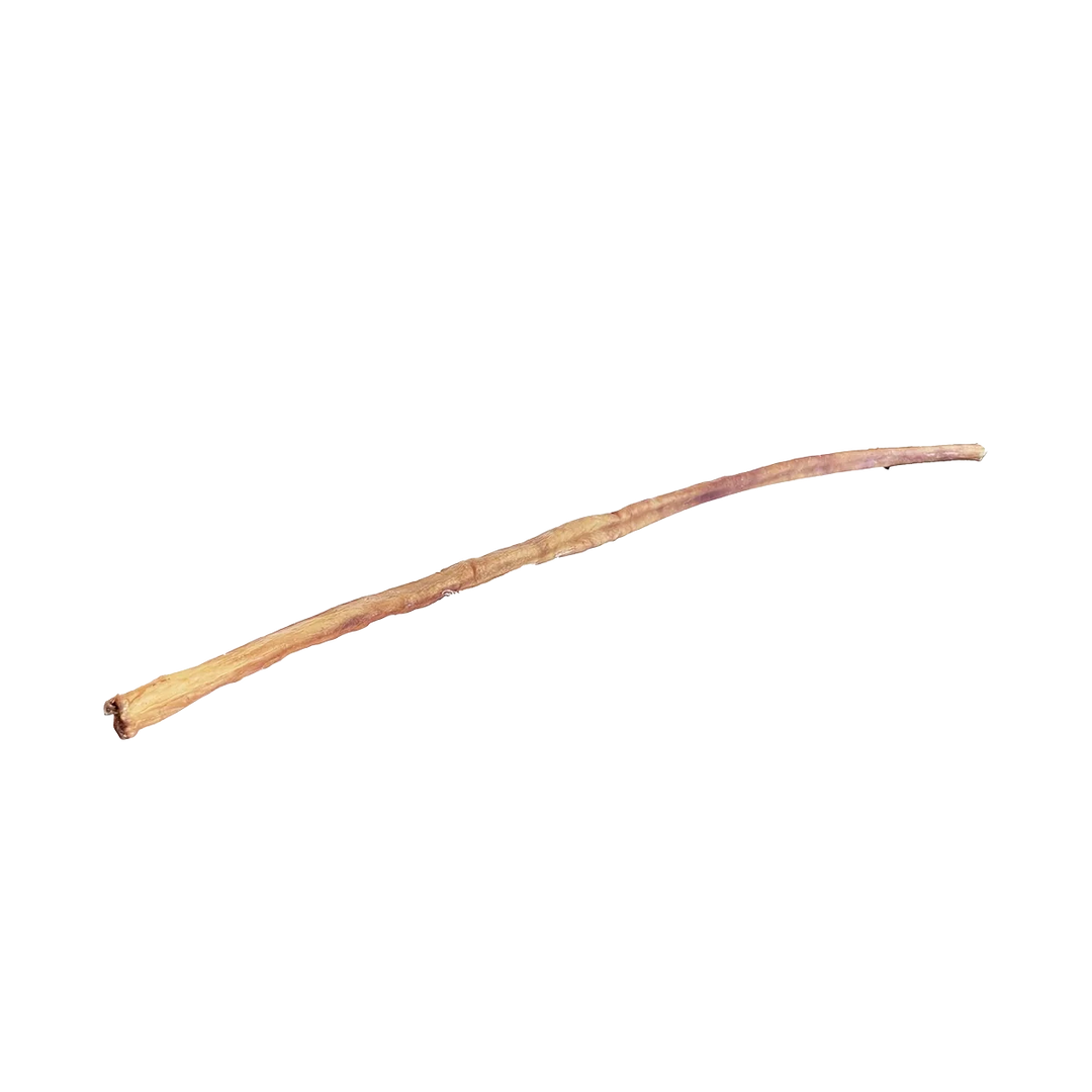 Open Range bâton de boeuf (Bully Stick)