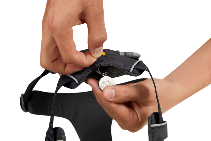 Ruffwear harnais Front Range