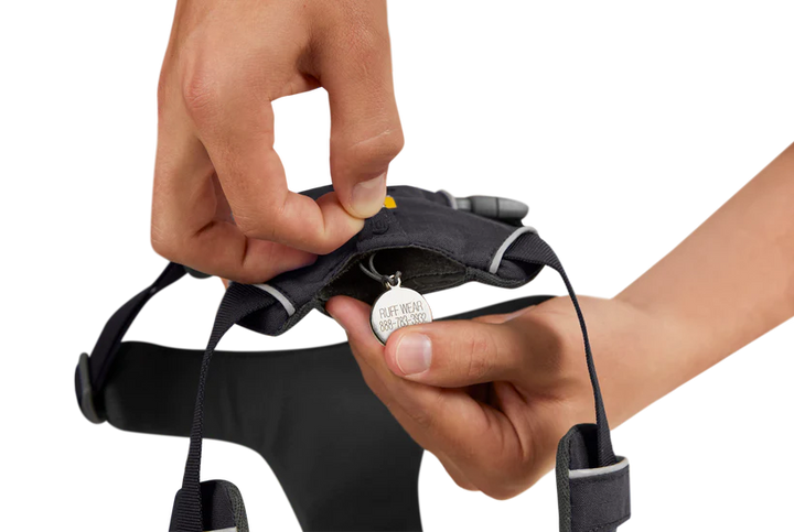 Ruffwear harnais Front Range