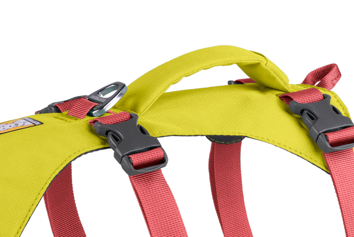 Ruffwear harnais Flagline