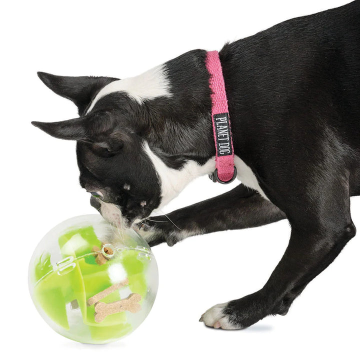Planet Dog jouet interactif Orbee-Tuff Mazee