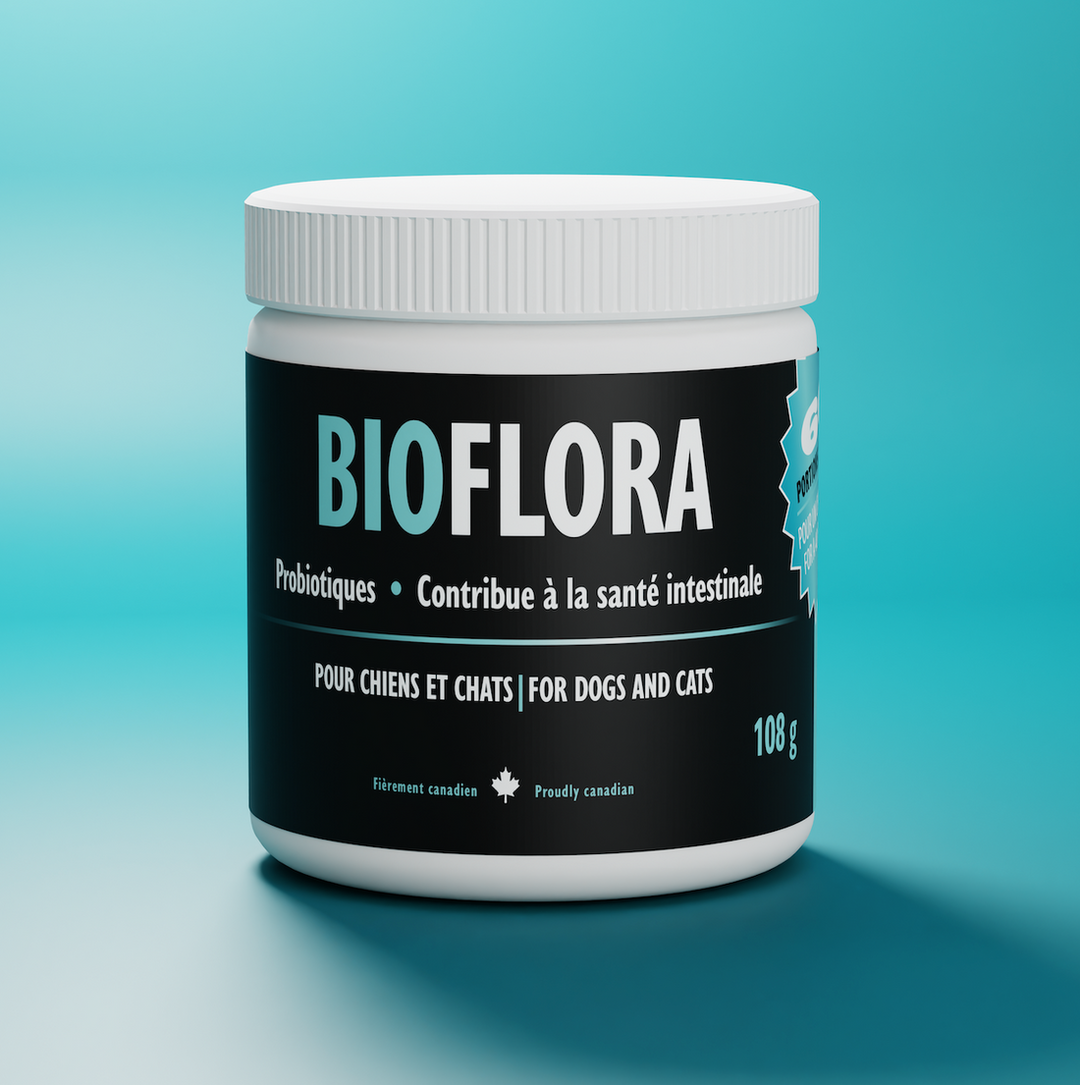 Patte d'Eau Bio probiotique Bioflora 108g