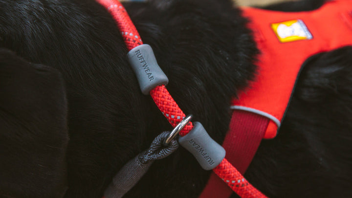 Ruffwear laisse d'entraînement Just-a-Cinch