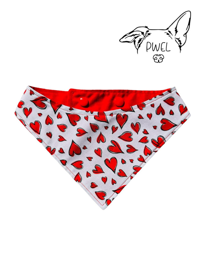 Pwel foulards pour chiens et chats