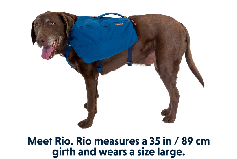 Ruffwear harnais Front Range Day Pack