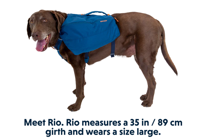 Ruffwear harnais Front Range Day Pack