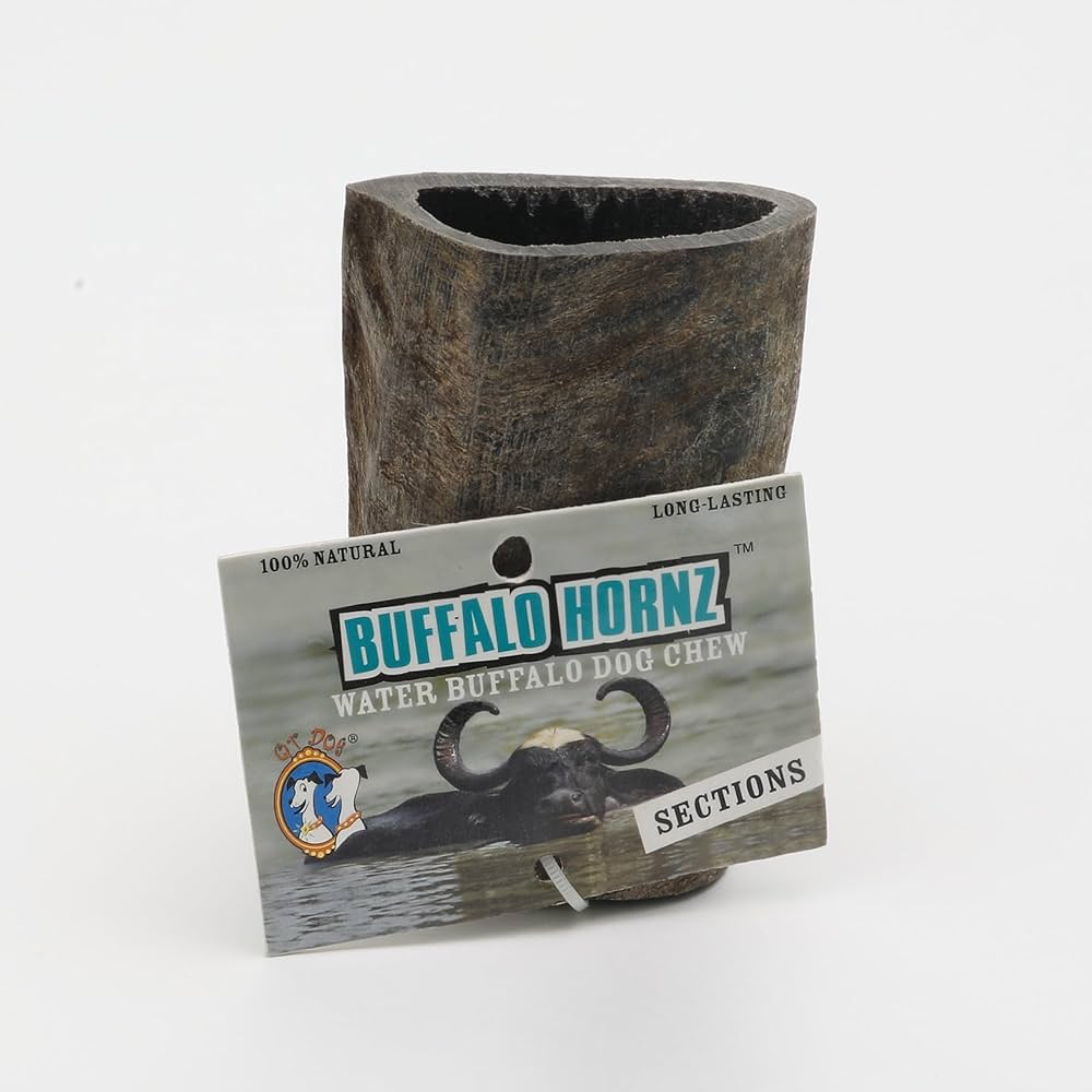 QT Dog section de corne de buffle d'eau