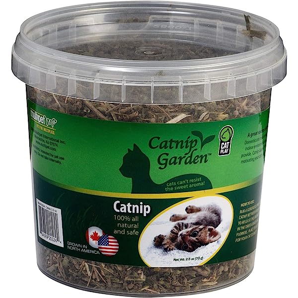 Multipet Catnip Garden herbe à chat séchée