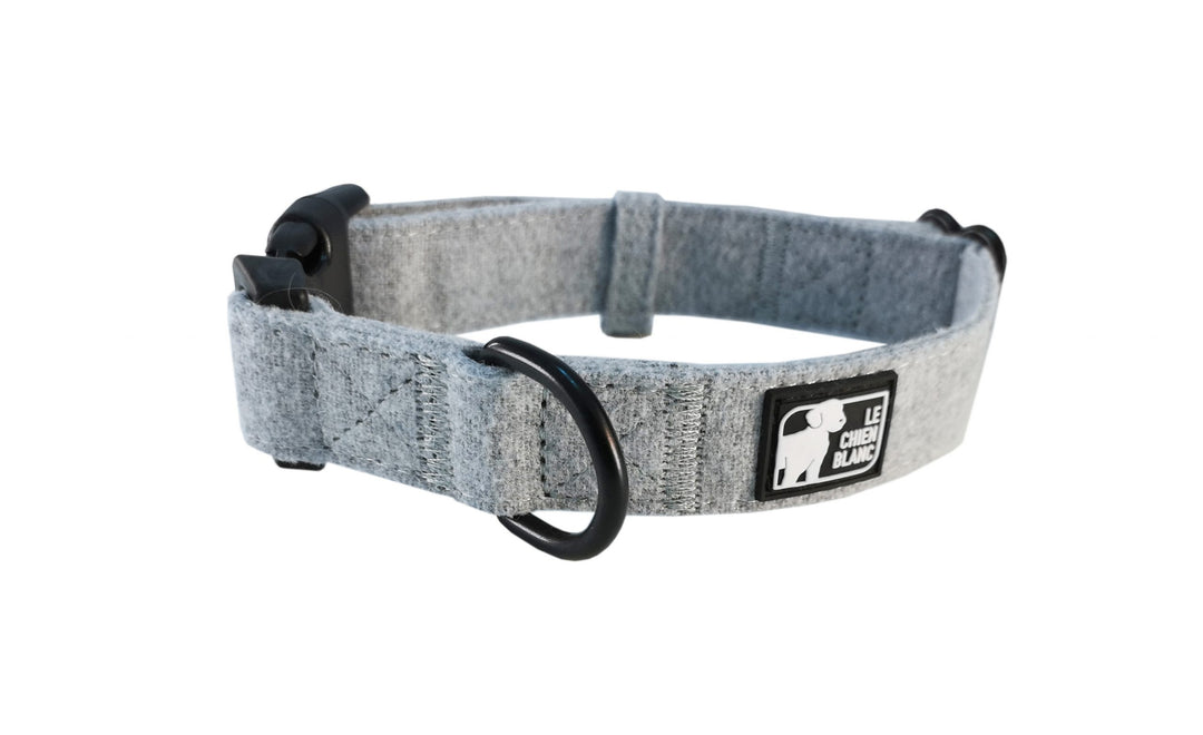 Le chien blanc collier Avenue