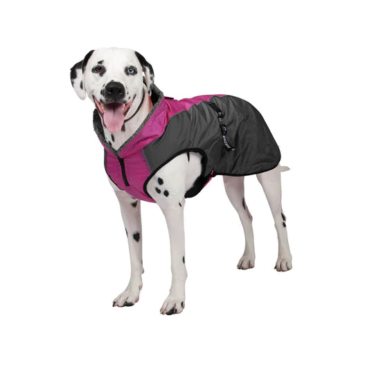 Shedrow manteaux pour chiens Chinook