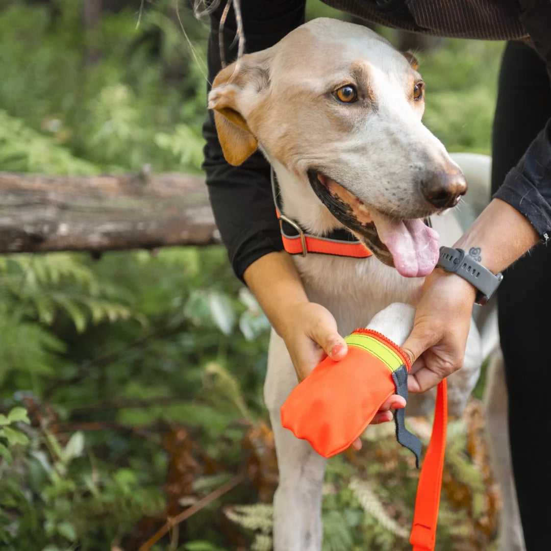 Nahak bottes surfaces en terre pour chiens