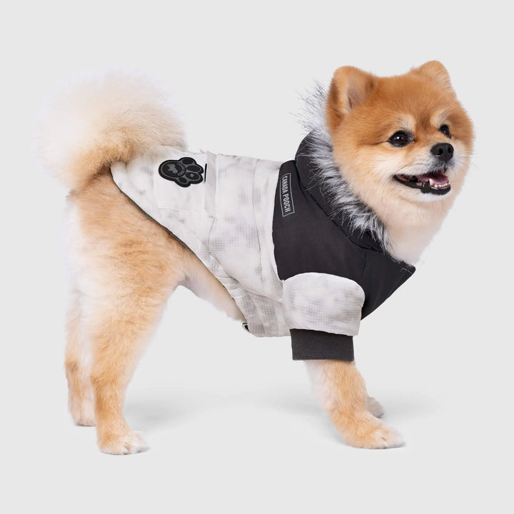 Canada Pooch manteaux pour chiens True North