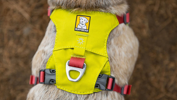 Ruffwear harnais pour chiens Hi & Light