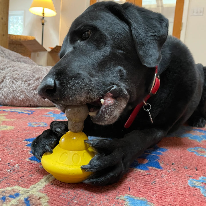 SodaPup jointure à mâcher UnStoppables