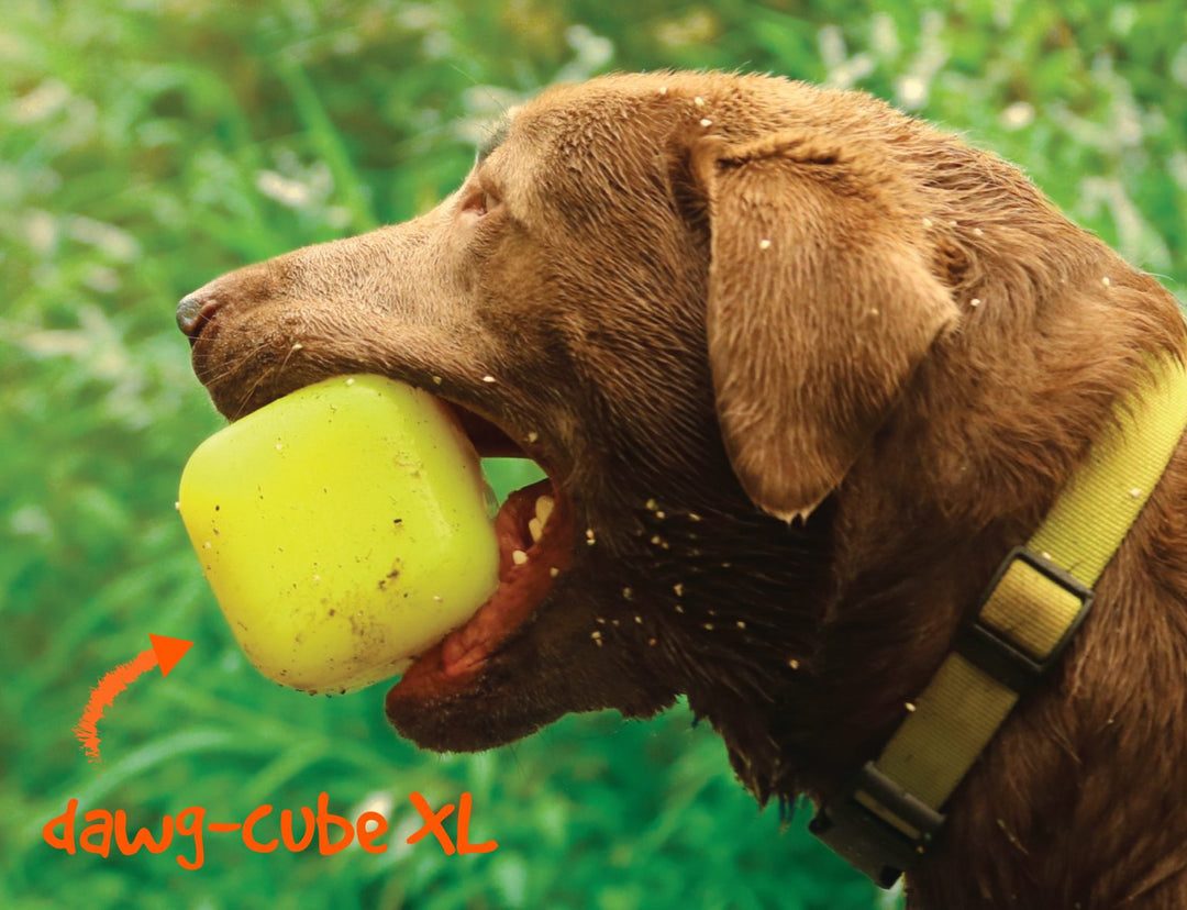 Ruff Dawg jouet à mâcher Dawg-Cube