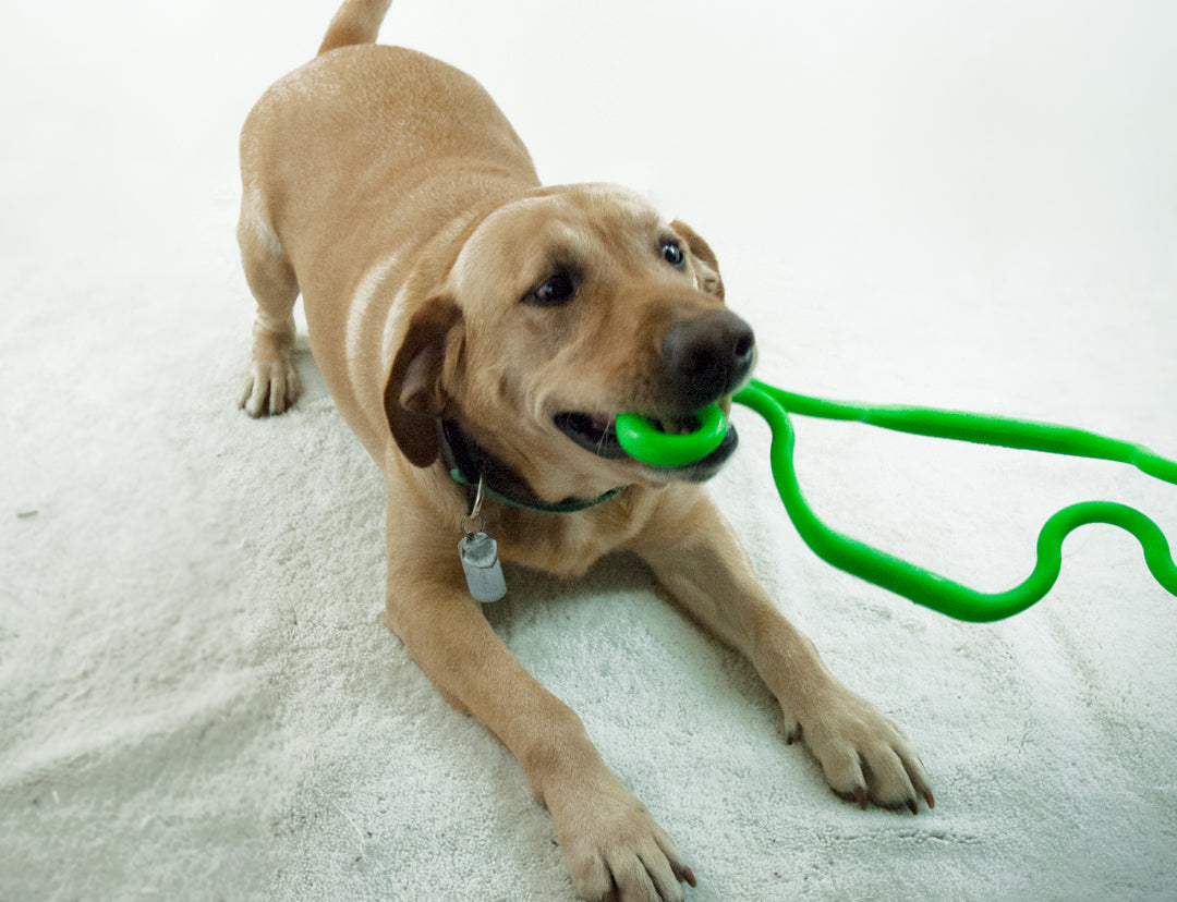 Ruff Dawg jouet à tirer extensible Super Tug