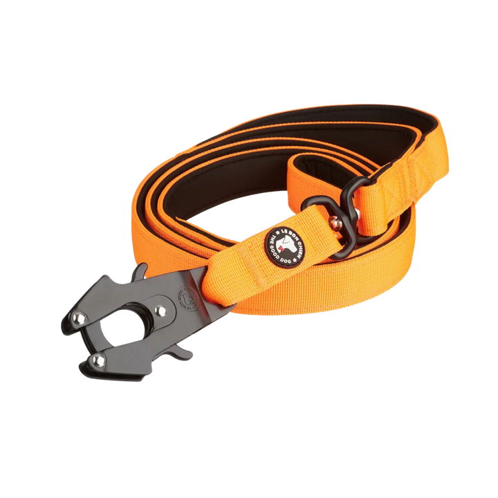 Le Bon Chien laisse tactique pour chiens 5'