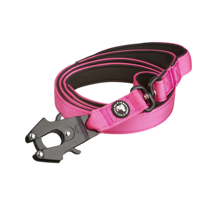 Le Bon Chien laisse tactique pour chiens 5'