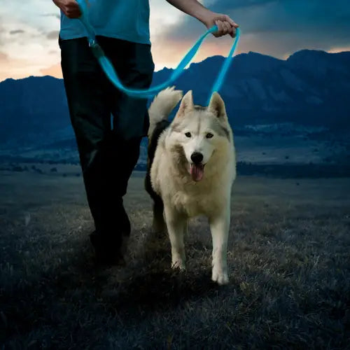 Nite Ize laisse lumineuse rechargeable NiteDog