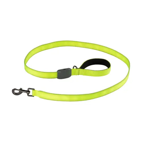Nite Ize laisse lumineuse rechargeable NiteDog