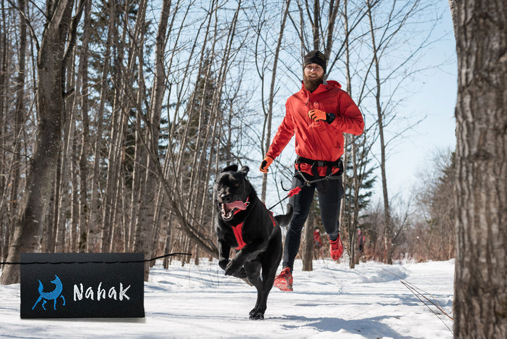 Nahak harnais de traction pour chiens