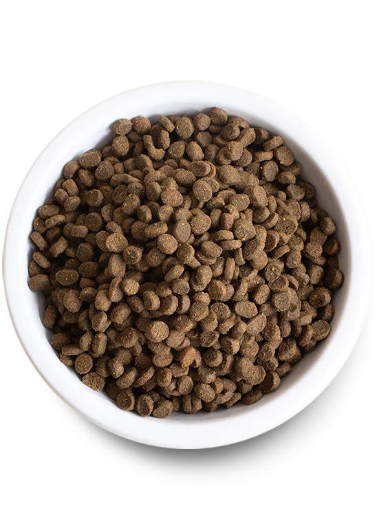 Open Farm nourriture sèche pour chatons Poulet et dinde        ** NOURRITURE SÈCHE NON VENDUE EN LIGNE **