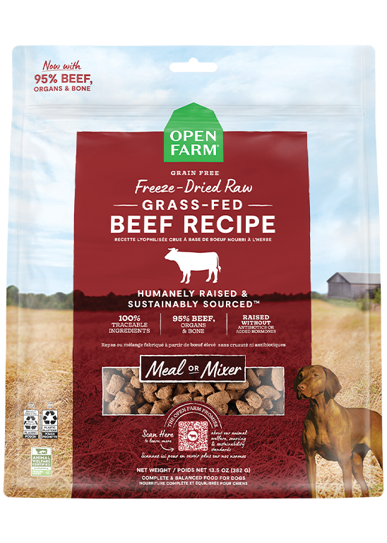 Open Farm recette lyophilisée Boeuf