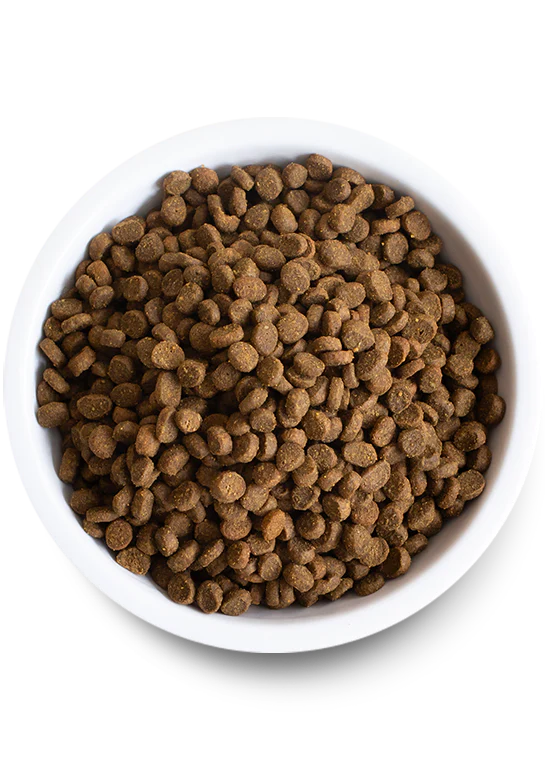 Open Farm nourriture sèche pour chats Agneau           ** NOURRITURE SÈCHE NON VENDUE EN LIGNE **
