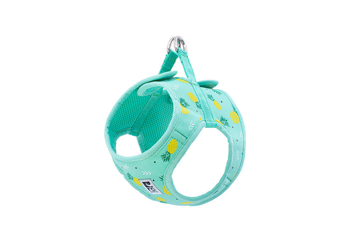 RC Pets harnais Step In Cirque pour petits chiens