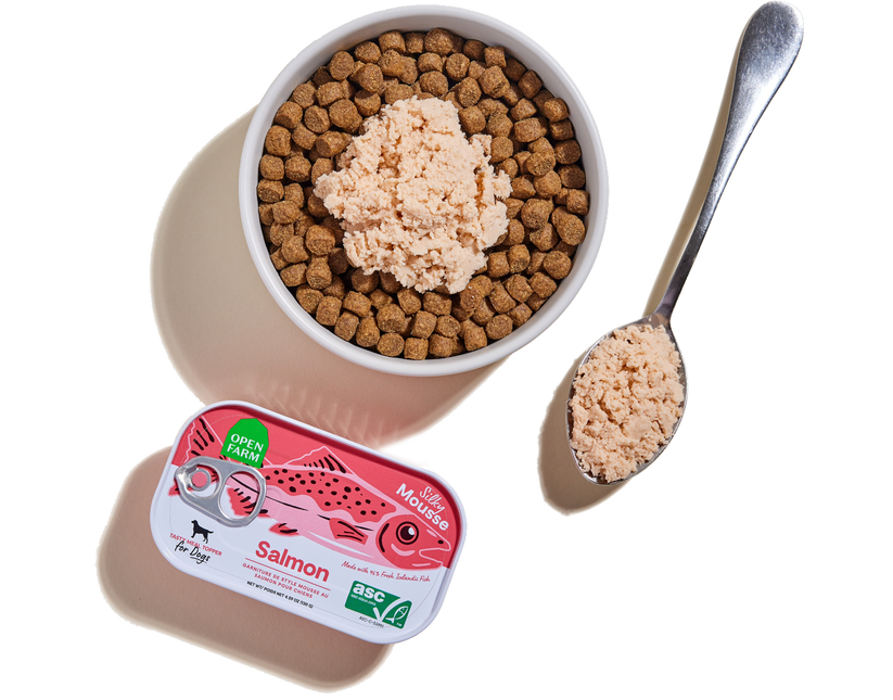 Open Farm garniture mousse pour chiens Saumon 130g