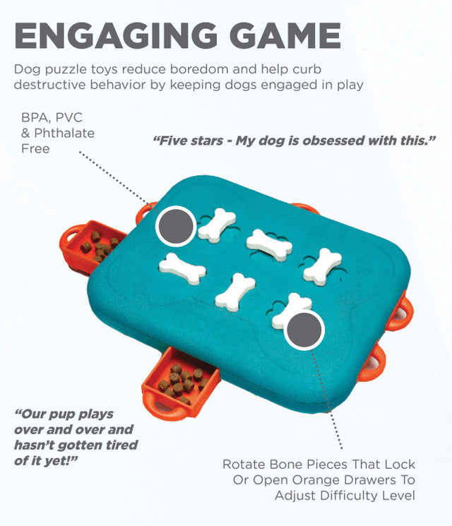 Outward Hound Nina Ottosson casse-tête interactif Dog Casino