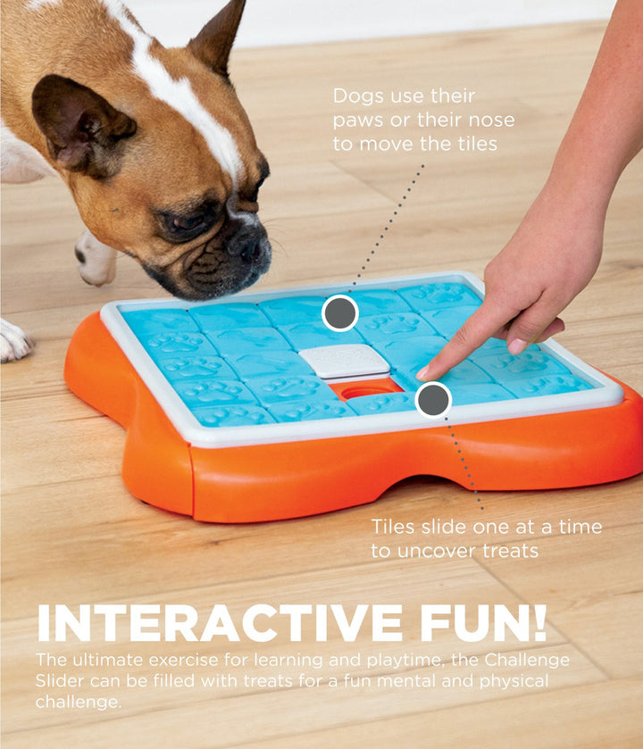 Outward Hound Nina Ottosson casse-tête interactif Challenge Slider