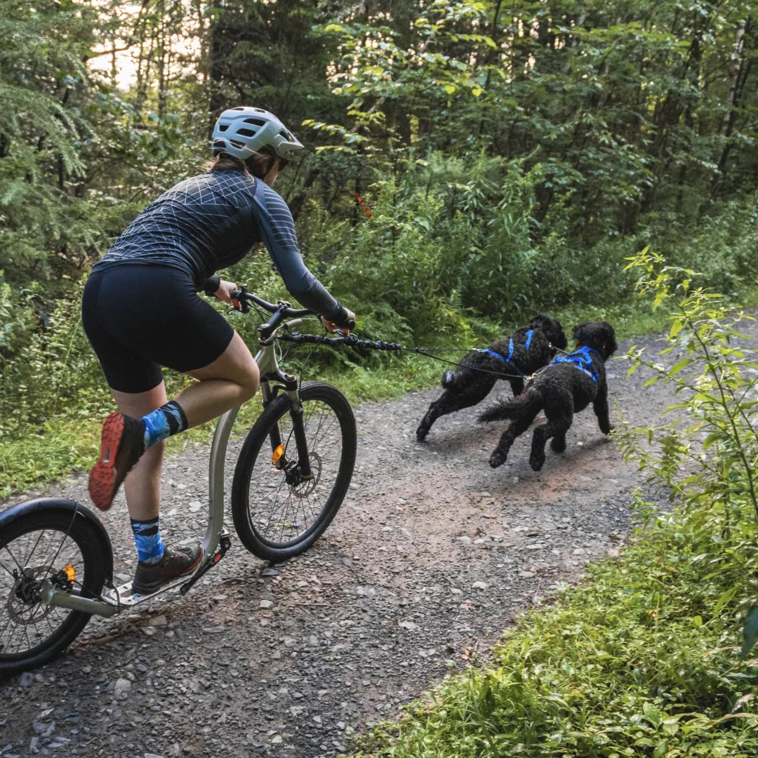 Nahak bungee pour le bikejoring