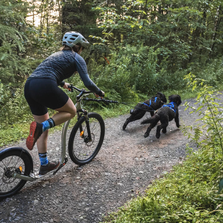 Nahak bungee pour le bikejoring