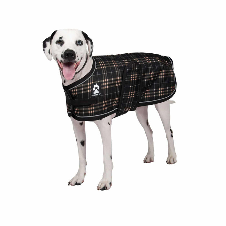 Shedrow manteaux pour chiens Glacier