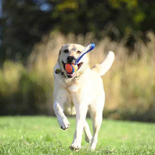 Chuckit! balle Ultra-Tug