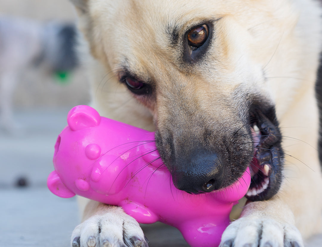 Ruff Dawg jouet GummyBear 6''