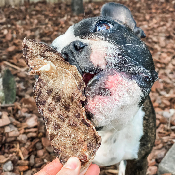 Lulu's Kitchen gâterie de jerky de cerf Go Bonkers 100g